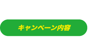キャンペーン内容