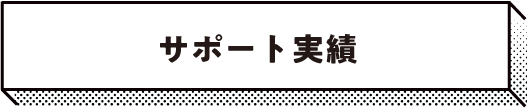 サポート実績